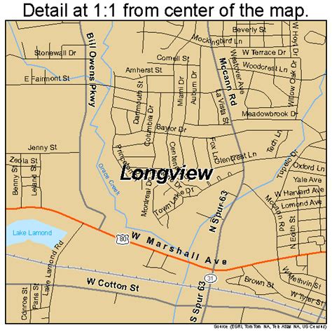 Longview Texas Street Map 4843888