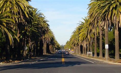 Sites to Explore in Palo Alto California