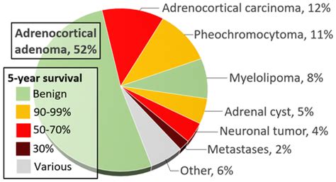 Adrenocortical carcinoma - Wikipedia