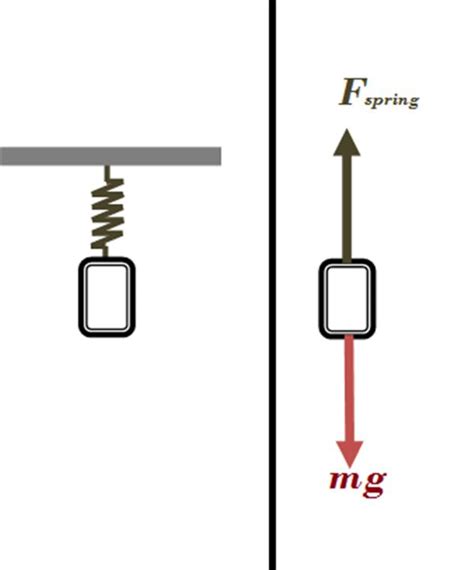 Spring Force Free Body Diagram