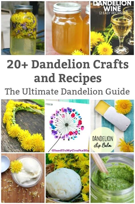 20+ Dandelion Recipes and Dandelion Crafts