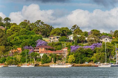 Parramatta River View, Sydney Suburb Houses Editorial Photography - Image of landscaped ...