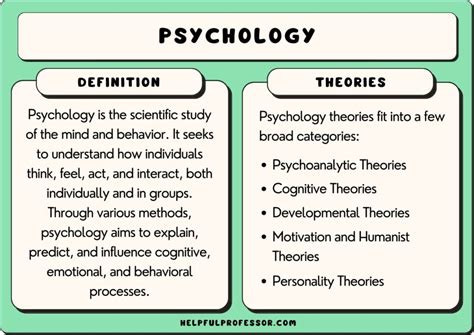 119 Psychological Concepts (for Beginners) (2024)