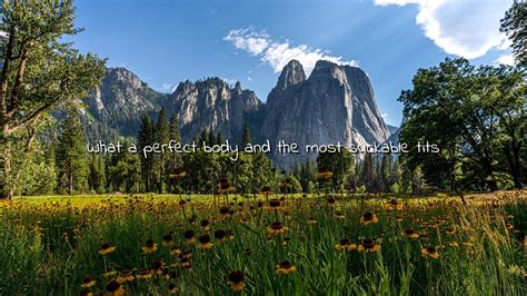 Wildflowers of Yosemite : r/GWCOEPBot