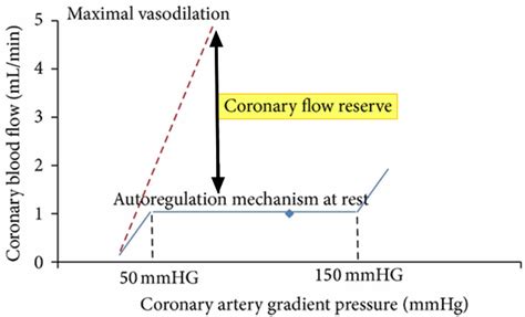 Coronary flow reserve and Fractional flow reserve uses, complications