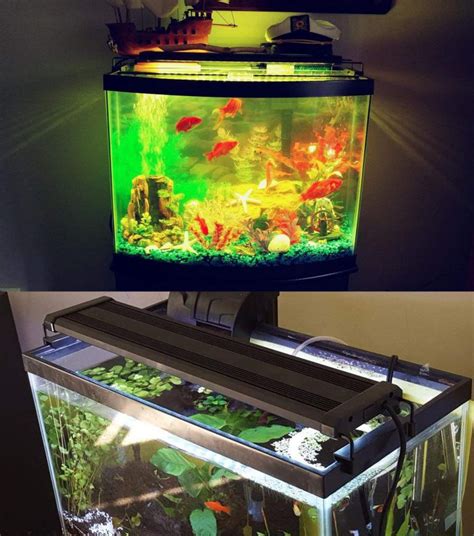 The 7 Best LED Aquarium Lighting - Fish Tank Lights Guide 2019