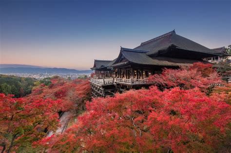 Autumn in Japan | Best Time to Visit Japan in Autumn | Autumn spots in Japan (2024 Update)