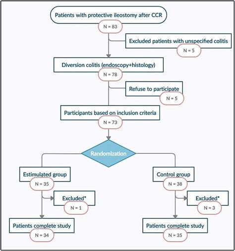 Frontiers | Diversion Colitis and Probiotic Stimulation: Effects of Bowel Stimulation Prior to ...