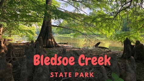 Bledsoe Creek State Park (Gallatin, TN) Hiking Shoreline Trail and High Ridge Trail - YouTube