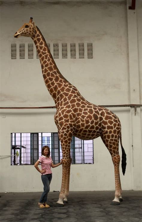 Giant Giraffe Statue 18 Ft. Giraffe [140039H] - $5,999.99 : Life Size Statues, Fiberglass ...