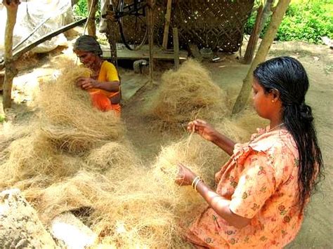 Coir Making | Flickr - Photo Sharing!