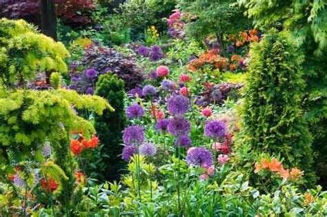 Plant combinations, Border ideas, Shade garden ideas, Perennial combination, Mixed Borders ...