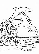 Coloring Pages Dolphins Jumping  Gail McPhersons sketch template