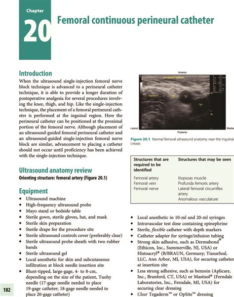 Femoral continuous perineural catheter (Chapter 20) - Ultrasound-Guided Regional Anesthesia