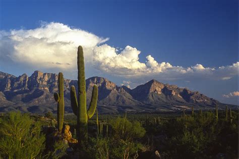 oro-valley-overview – Arizona Masters Swimming