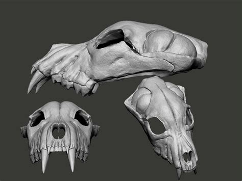 ArtStation - Bear Skull | 3d model