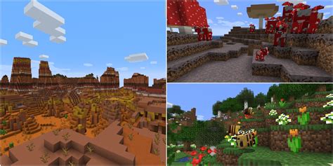 The 11 Rarest Biomes In Minecraft