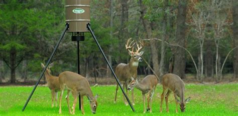 Top 7 Best Deer Feeders of 2023 - [Reviews & Buyer Guide]