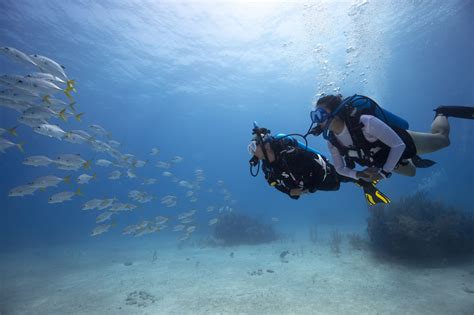 Smith Ocean Adventure Travel - Blog - Why Become A PADI Divemaster?