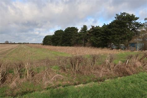 Game cover crop by Cottenham Long Drove © Hugh Venables :: Geograph Britain and Ireland