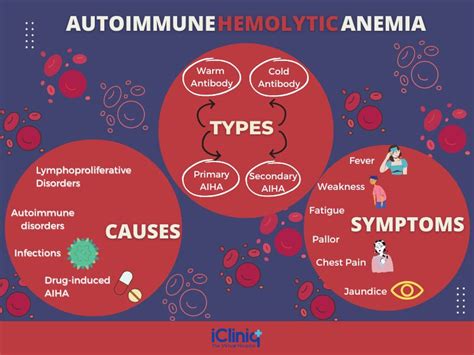 Autoimmune Hemolytic Anemia Types Causes Symptoms Diagnosis Treatment | Hot Sex Picture