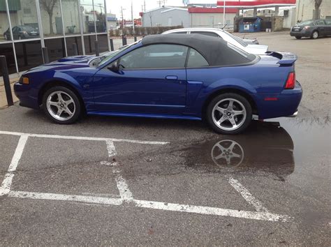 2003 Ford Mustang Gt - Car & Marine Audio/Video install pictures