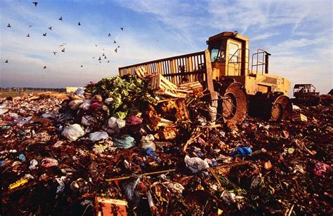 The Effects of Improper Waste Disposal – ERG Environmental Services