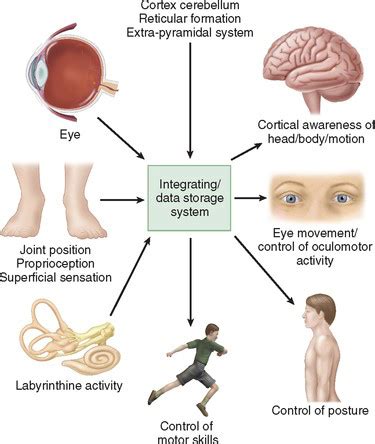 Vestibular Physio for Dizziness and Imbalance – Romiley Physio