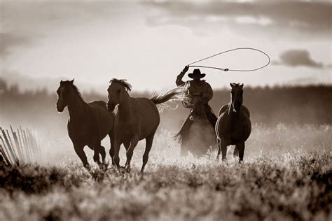 Theridion: The Cowboy's Lasso