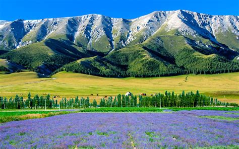 Xinjiang gets the nod for regional tourism | TTG Asia