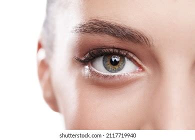 842 Eye Beholder Stock Photos, Images & Photography | Shutterstock