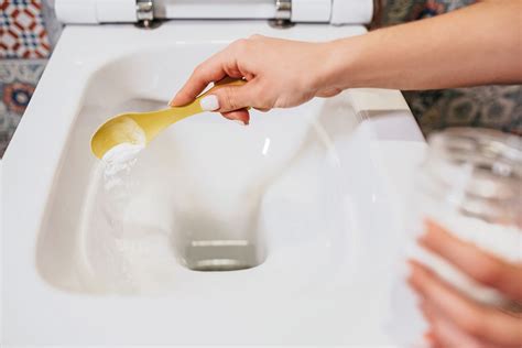 DIY Toilet Bowl Cleaner