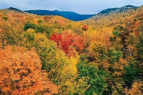 New Hampshire Fall Foliage // FLASHBACK FRIDAY | Frugal Frolicker