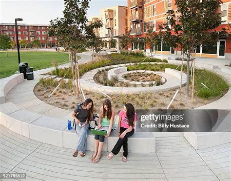 342 Uc Davis Campus Stock Photos, High-Res Pictures, and Images - Getty ...