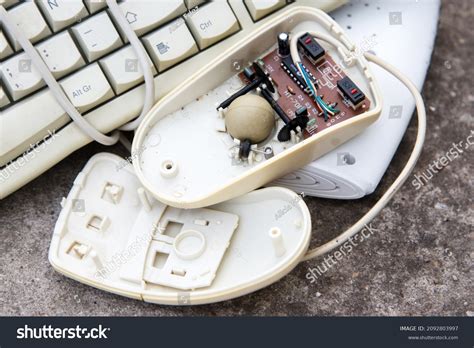 Old Computer Mouse Broken Open Half Stock Photo 2092803997 | Shutterstock