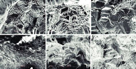 SEM images of euhedral diamonds displaying a variety of morphologies in... | Download Scientific ...