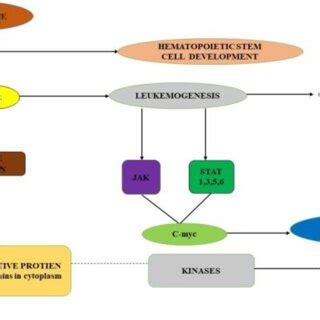 Schematic representation of BCR-ABL pathway Abbreviation: Philadelphia ...