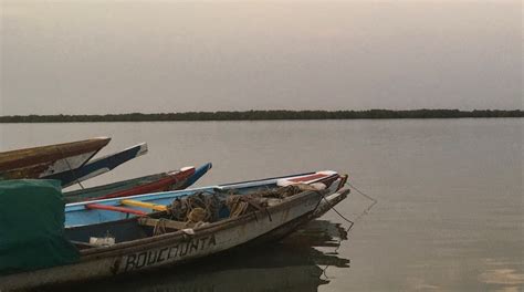 Ziguinchor Travel Guide: Best of Ziguinchor, Ziguinchor Region Travel ...