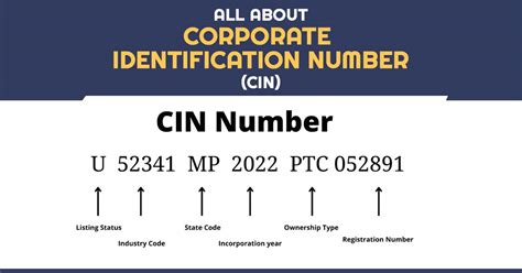 Easy Guide to CIN with Obtaining Process for Your Company