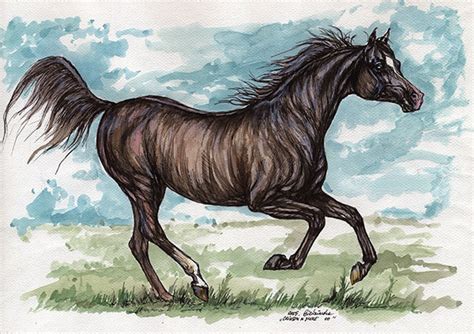 The Arabian Horse Watercolor Painting - Etsy