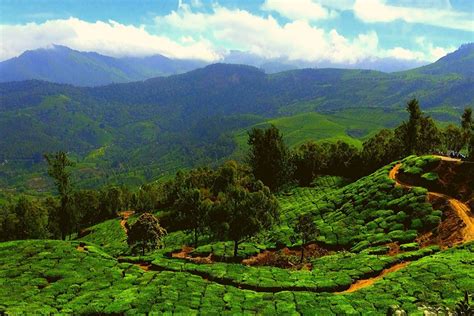 12 Best Tourist Places in Munnar - 2 Day Itinerary | WildlifeZones