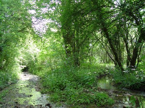 Footpath Network - Charlbury Green Hub