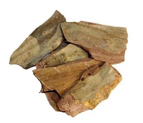 Terminalia Arjuna Arjun Tree Bark, Packaging Type: Loose at Rs 5000/kg ...