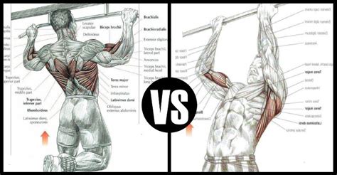 Chin Ups Vs Pull Ups and How To Get Better At Both - Bodydulding