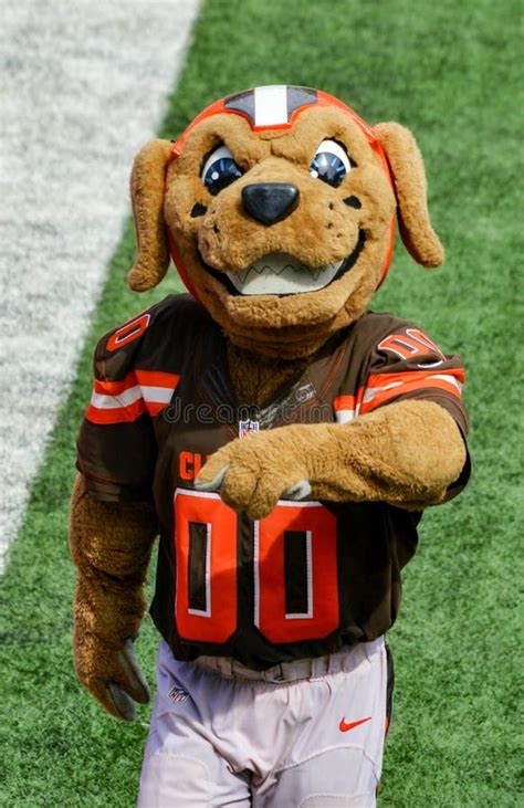 NFL Mascot Chomps the Cleveland Browns Editorial Photo - Image of ...