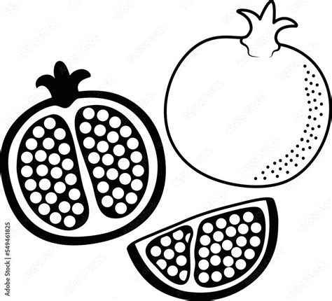 Pomegranate fruit Clipart, Pomegranate fruit slice Clipart . Black and White style Stock Vector ...