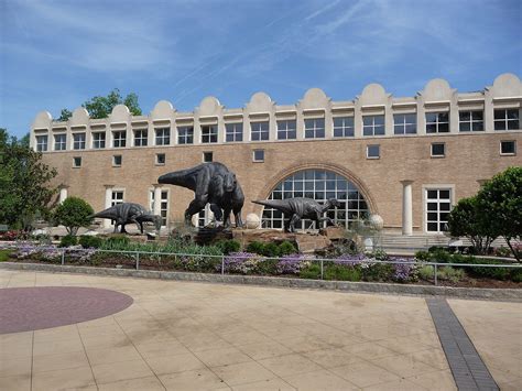 Top 10 Interesting Facts about Fernbank Museum - Discover Walks Blog