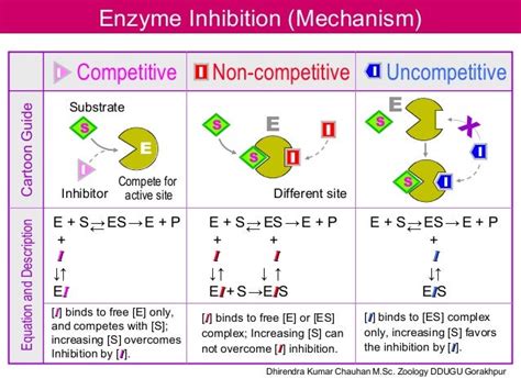 Enzyme inhibition mechanism