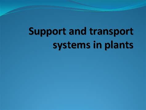 Support and transport systems in plants The need