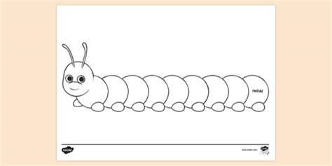 FREE! - Caterpillar Colouring Sheet - Primary School - Twinkl